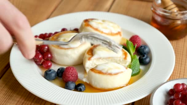 食べるコテージチーズフリッターSyrnikiはサワークリーム ベリーを提供しています 小さな揚げチーズケーキ カードチーズパンケーキ ロシア料理 — ストック動画