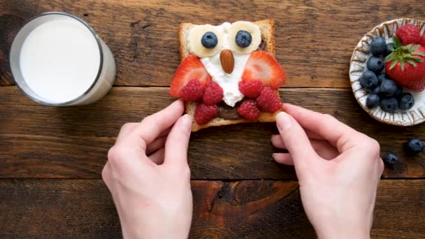 Breakfast Toasts Kids Shaped Animals Kids Lunch Food Art Teddy — Stock Video