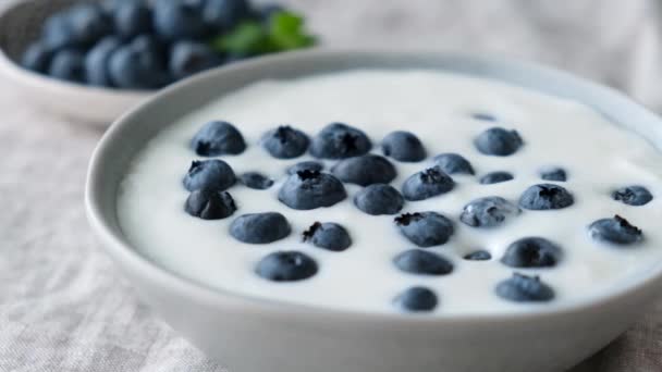 Greek Yogurt Blueberries Taking Spoonful Yogurt Fresh Blueberries — Stock Video