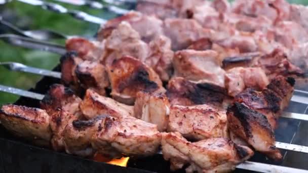 Kook Vlees Spiesjes Shish Kebab Brand Close Zicht Shashlik Buiten — Stockvideo