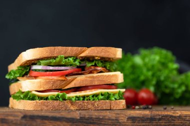Siyah arkaplanlı lezzetli pastırmalı sandviç ve fotokopi alanı.
