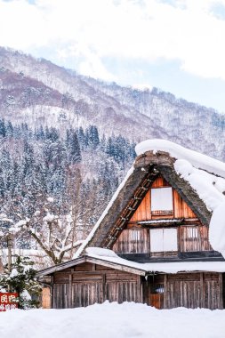 Ev ve dağ manzarası köyün arkasında, Shirakawago Köyü, Japonya.
