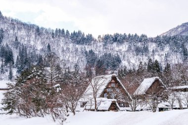 Shirakawago Köyü, Shirakawago Japonya 'nın çatısında kalın karlı bir ev..