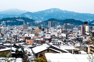 Büyük ağaçların dalları iyi gölgelenmiştir..