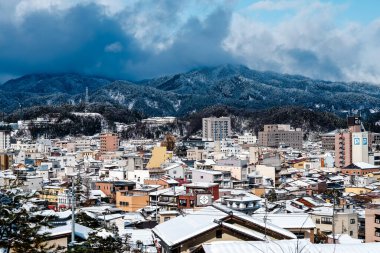 Büyük ağaçların dalları iyi gölgelenmiştir..