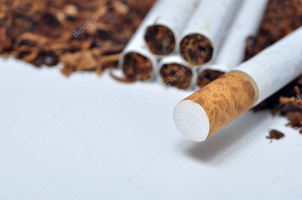 Closeup Of Cigarettes White Background