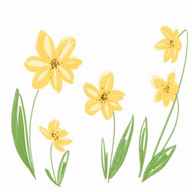 Yazdırma ve dekorasyon için beyaz arka planda sevimli sarı kır çiçekleri