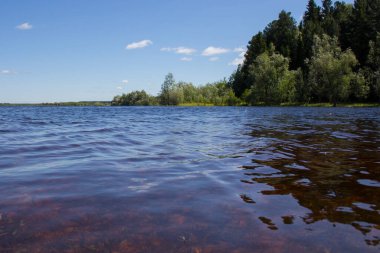 Sakin bir nehrin kıyısında açık kahverengi renkli su, küçük dalgalar ve karşı kıyıda bir orman.