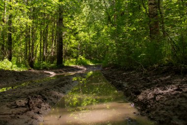 Terk edilmiş bir orman yolundan git. Ekstrem off-road, kirli yağmur suyuyla dolu monoton yollar..