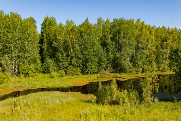 Nördliche Naturlandschaft Sommer Ruhiger Langsamer Fluss Einem Heißen Sonnigen Tag — Stockfoto