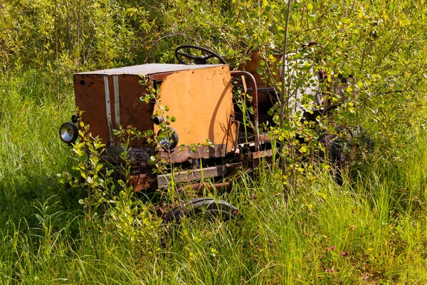 Starý Opuštěný Oranžový Kolový Traktor Stojí Houští Keřů — Stock fotografie