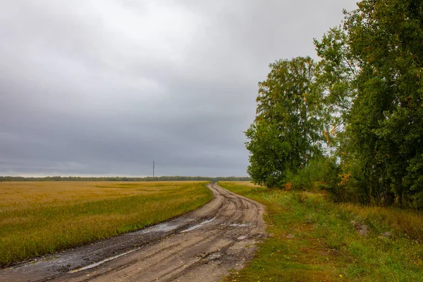 Onverharde Weg Slingert Door Velden Vuile Weg Een Veld Van — Stockfoto