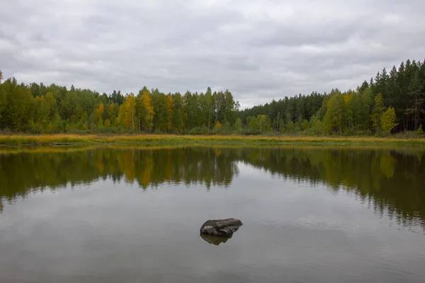Die Ruhige Wasseroberfläche Eines Waldsees Ein Kiefernwald Und Vergilbte Birken — Stockfoto