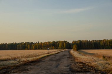 Tarlalardan yeşil ormana giden yol. Kırsal yol. Sonbahar kırsal arazisi