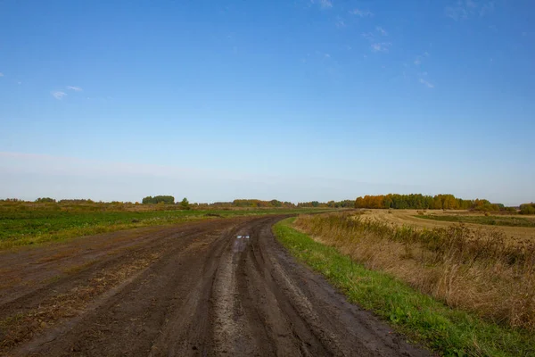 Landsbygdslandskap Tidigt Hösten Stolpar Klippt Gräs Åkrar Och Ängar Små — Stockfoto