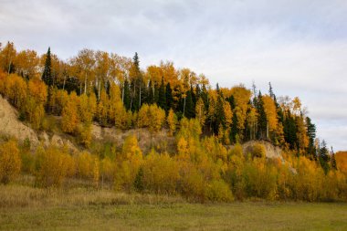 Tepeler, arazi, manzara, dağlar, güzellik, ağaçlar, yapraklar, sonbahar,