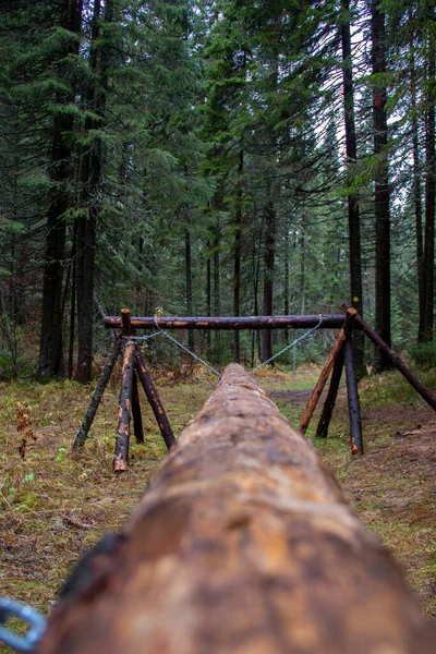 A sports equipment for walking on a log, built in the forest from wood and chains. Competition Obstacle Course