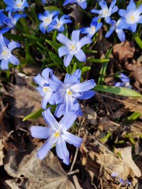 Yukarıdan çekilen mavi karların ihtişamlı görüntüsü.