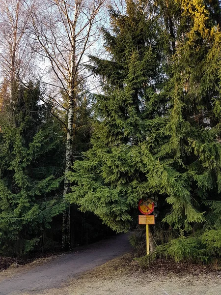 Тропа Дорожный Знак Деревом Городском Парке — стоковое фото