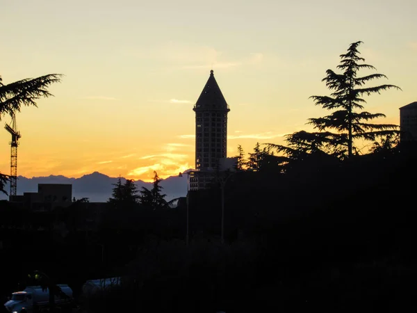 西雅图美丽的日落风景 山形轮廓 树木和史密斯塔 免版税图库照片