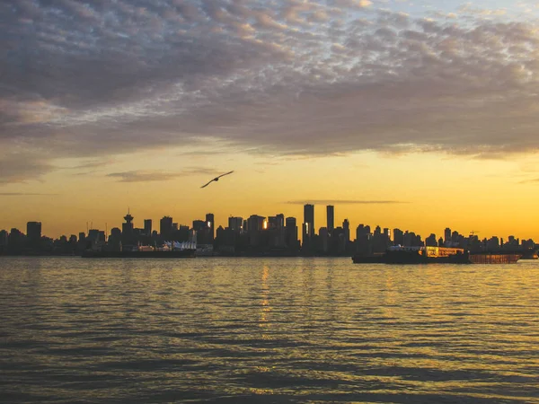 Vackra Vancouver Skyline Skott Med Mås Sedd Från Norr Vid — Stockfoto