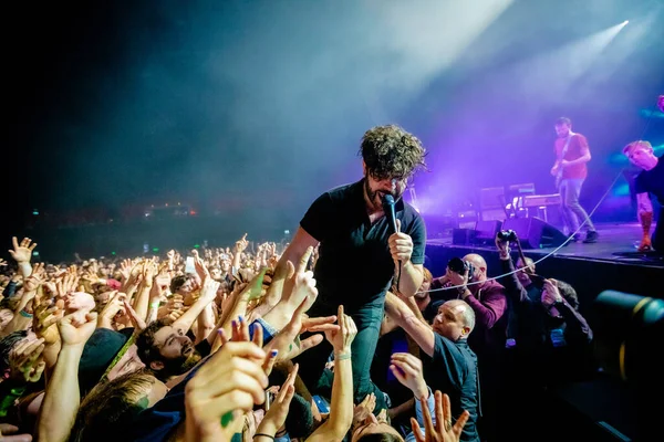 Fohlen Bei Musikfestival Auf Der Bühne — Stockfoto