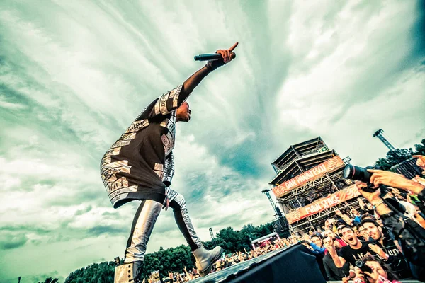 Skunk Treedt Tijdens Muziekfestival — Stockfoto