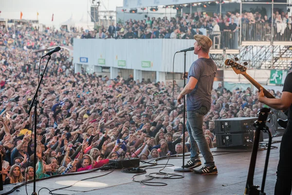 Racoon Występujący Scenie Podczas Festiwalu Muzycznego — Zdjęcie stockowe