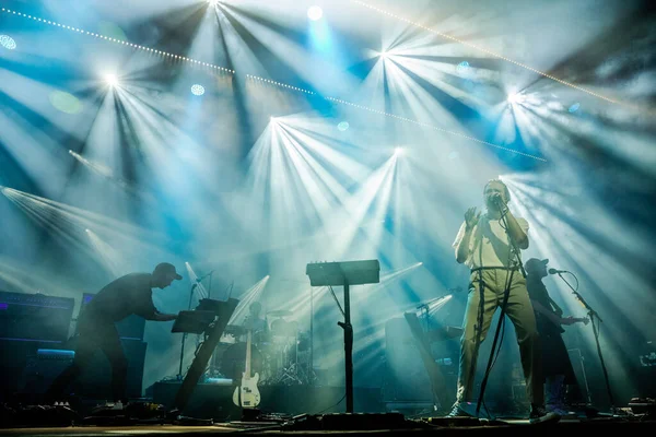 Vahşi Hayvanlar Müzik Festivalinde Sahnede Gösteri Yapıyorlar — Stok fotoğraf