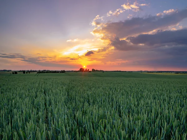 Por Sol Sobre Campo Mola — Fotografia de Stock