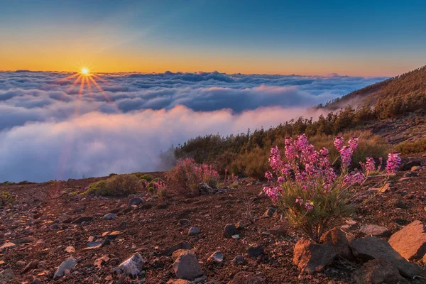 Spettacolo Sole Tramontante Tra Nuvole Parco Nazionale Del Teide — Foto Stock