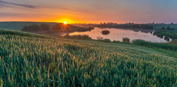 Lever Soleil Sur Lac Entouré Prairies Champs — Photo