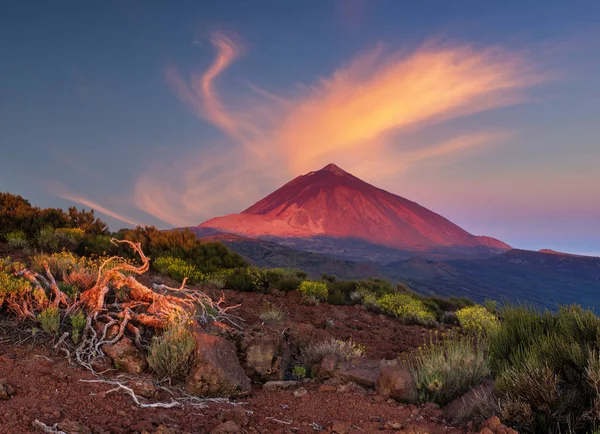 Yükselen güneş ışığında Tenerife Teide Yanardağı