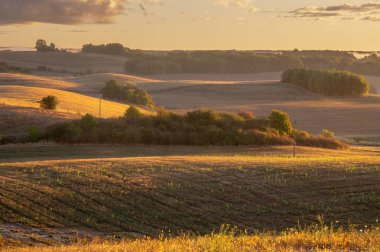 alanlar ve güneşli sabah deki meadows doğal görünümü