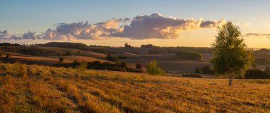 alanlar ve güneşli sabah deki meadows doğal görünümü