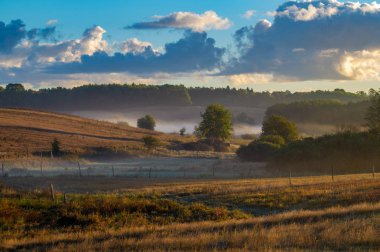 alanlar ve güneşli sabah deki meadows doğal görünümü