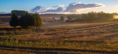alanlar ve güneşli sabah deki meadows doğal görünümü