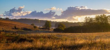 alanlar ve güneşli sabah deki meadows doğal görünümü