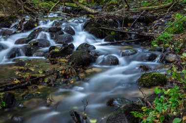Cascades ve küçük orman akarsu üzerinde mini şelaleler