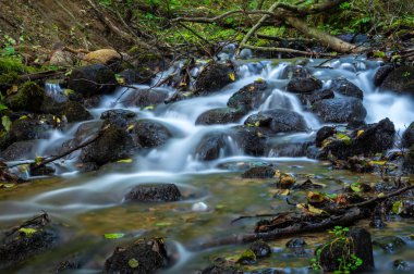 Cascades ve küçük orman akarsu üzerinde mini şelaleler