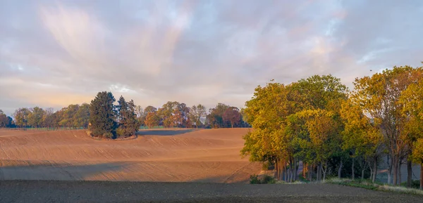 Panorama Del Campo Autunnale Focus Selettivo — Foto Stock