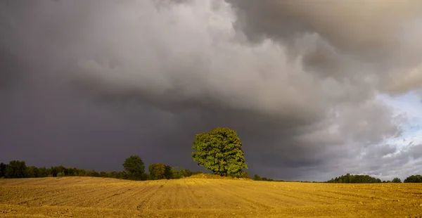 Vista Panorâmica Das Árvores Campo Arado Outono — Fotografia de Stock