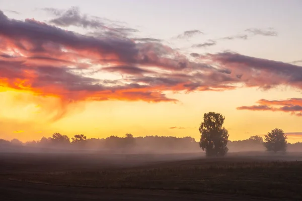 Vista Panoramica Del Cielo Drammatico Sul Campo Autunnale Mattino Polonia — Foto Stock