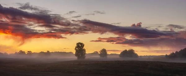 Malerischer Blick Auf Den Dramatischen Himmel Über Herbst Feld Morgen — Stockfoto