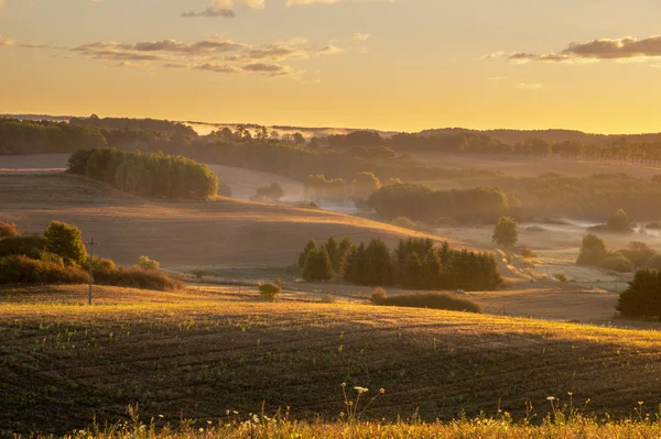 在阳光明媚的早晨 可以欣赏到田野和草地的美景 — 图库照片