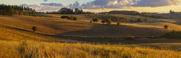 Vedere Pitorească Câmpurilor Pajiștilor Dimineața Însorită — Fotografie, imagine de stoc