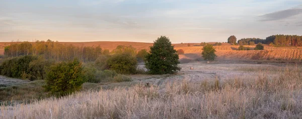 Vista Panorámica Los Campos Prados Mañana Soleada —  Fotos de Stock