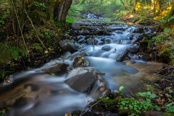 cascades and mini waterfalls on small forest stream