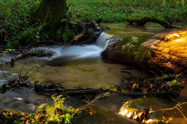 Kaskaden Und Mini Wasserfälle Kleinen Waldbach — Stockfoto