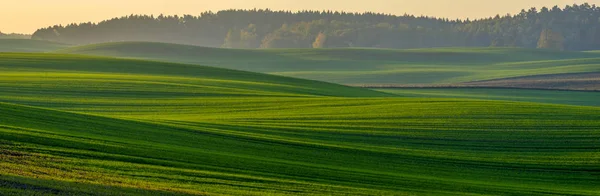 Panorama Zelené Louce Podzimní Krajině — Stock fotografie
